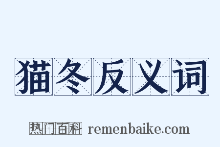 猫冬反义词是什么意思的图片